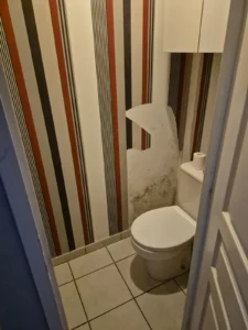 renovation toilettes martre d artiere lg finitions 63